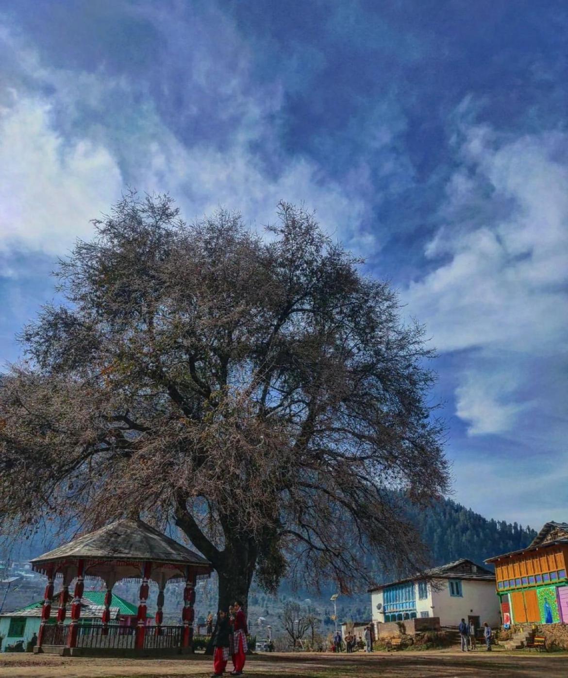 Sainj Riverside Cottages Esterno foto